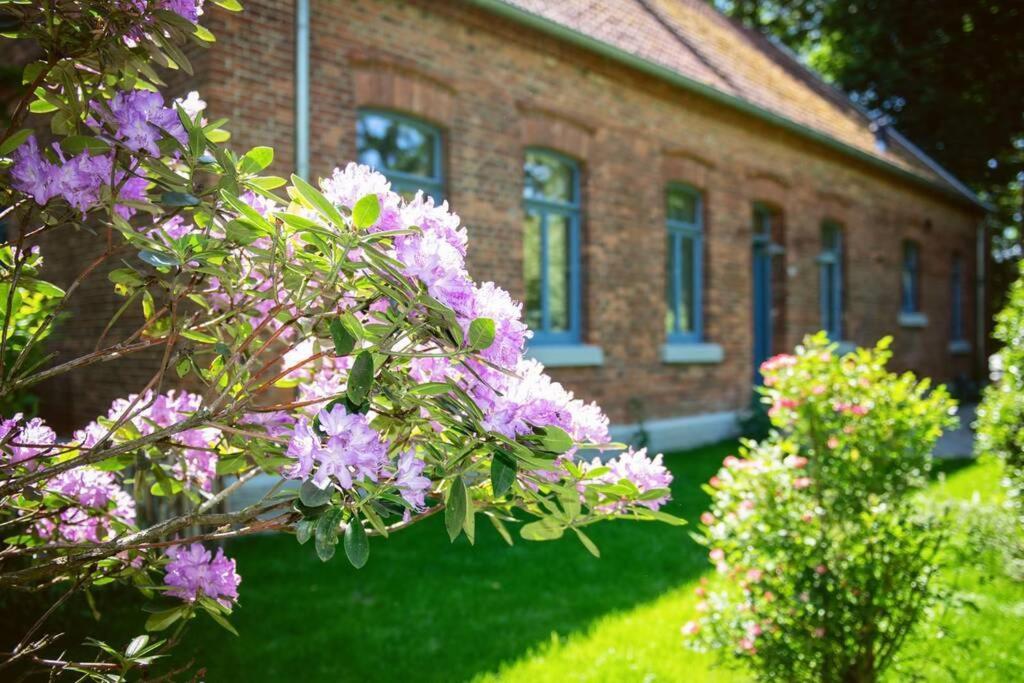 Heuerhaus 1898 Leilighet Menslage Eksteriør bilde